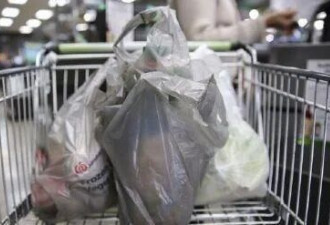 太难！预测加国1月食品通胀率将大幅上升