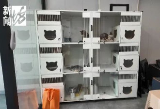 90后男生春节在上海狂赚16万元，每天睡3小时……这种新职业爆火