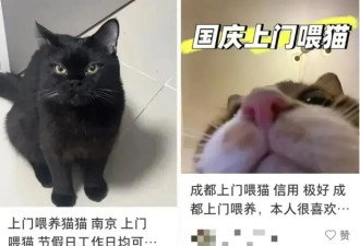 90后男生春节在上海狂赚16万元，每天睡3小时……这种新职业爆火