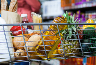 专家警告：加拿大若不摆脱美国食品的依赖，日后一定会酿成灾难