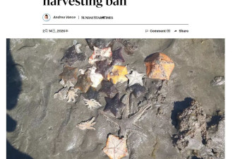 “北京烤鸭大举入侵” 舆论炸锅 矛头直指华人！