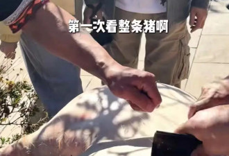 豪门媳妇胡静返乡记：背背箩赶集、烤五花肉