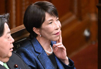 高市内阁总辞职 小粉红集体高潮闹笑话