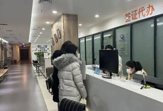 赴美留学暴跌28.6%! 美国不留中国也不要!