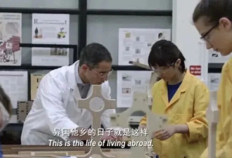 赴美留学暴跌28.6%! 美国不留中国也不要!