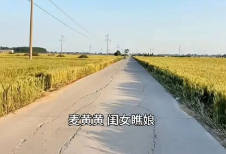 过年回家：村子里来了个面子特派员