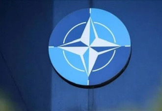 美媒爆料：美国正推动北约政策“恢复出厂设置”