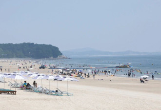 硬币、珠宝、贵金属……韩国兴起海滩“淘金”热