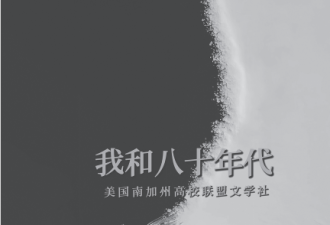 80年代出国潮, 鼠有鼠道蛇有蛇路