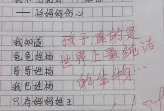 满分作文《不要妹妹》走红 妈羞得没脸去学校