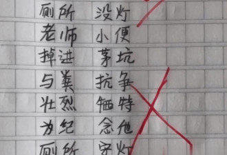 满分作文《不要妹妹》走红 妈羞得没脸去学校