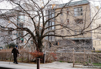 备受欧美游客喜欢的雪国 被我找到了