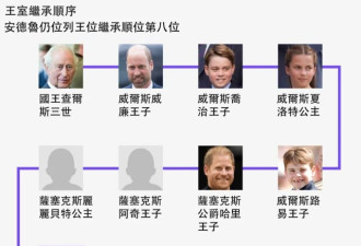 安德鲁王子被捕：他如何一步步堕落
