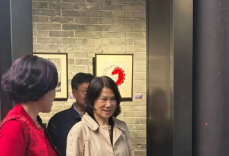 71岁董明珠逛唐家古镇，光腿穿裙配半袖风衣很洋气，买花砍价好狠