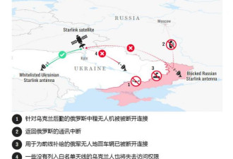 重击普京，马斯克立大功！泽连斯基证实