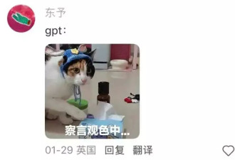 “走路去洗车”热帖离谱刷屏 人类头一回被耍得这么惨