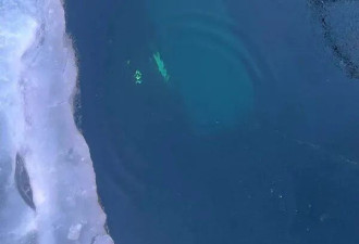 7名中国游客坠冰身亡 贝加尔湖正在“疯狂撕裂”
