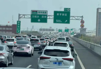 堵堵堵 第一批“大聪明”已堵在回深圳路上了