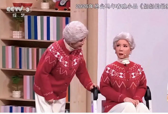 机器人登台春晚后，“假蔡明”被送给了真蔡明