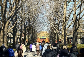 这届年轻人，为了发财什么都能干出来