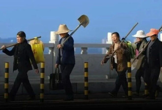“为了进城，我的家散了?”