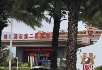 中国东北人的宿命：离开东北