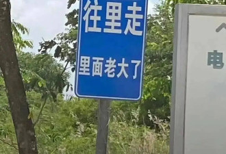 中国东北人的宿命：离开东北