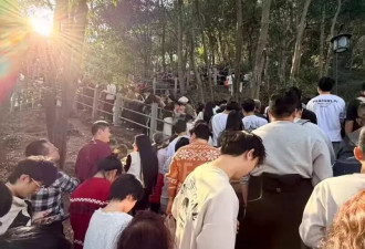 “前方无厕所、无烤肠、无茶叶蛋，各位回家吧”
