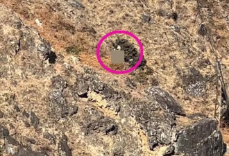 游客目击男童虎跳峡坠崖遇难：事发1米多宽的野外路段