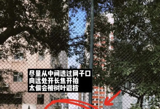 春节出游的年轻人，快把全世界避雷完了