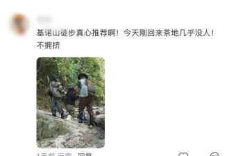 春节出游的年轻人，快把全世界避雷完了