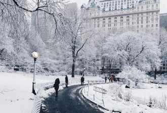 美东暴雪 纽约实施全面交通禁令 3500航班取消…