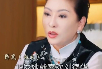 向太曝朱丽倩喜欢刘德华20年才见光：她从19岁就默默守护