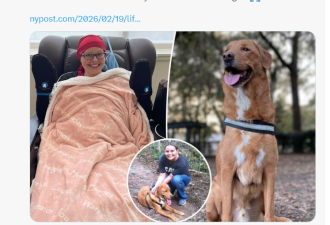 爱犬“嗅”出癌细胞 两度救男女主人性命