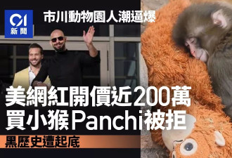 日本小猴子全球爆红 美网红砸重金买猴遭拒