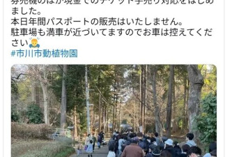 日本小猴子全球爆红 美网红砸重金买猴遭拒