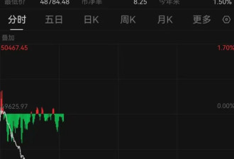 欧洲议会暂停批准欧美贸易协议 美股全线跳水