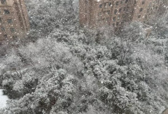 西安罕下真正“鹅毛大雪” 居民：老天，昨天还穿短袖