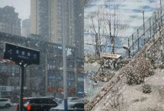 西安罕下真正“鹅毛大雪” 居民：老天，昨天还穿短袖