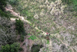 68岁老人离家走失8天：被村民在山林找到 以树叶为食