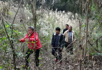 68岁老人离家走失8天：被村民在山林找到 以树叶为食