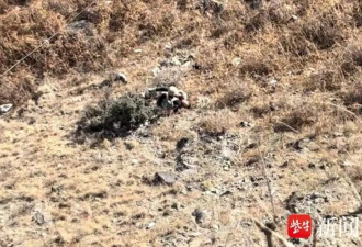 男童春节假期虎跳峡坠崖遇难，目击者讲述事发经过