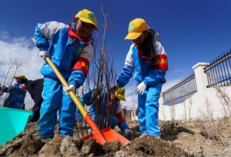 中国首度“数清”全国树木 创下新纪录