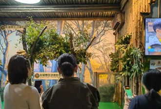 秦海璐春晚后与家人出游，王新军搂着儿子好亲近，10岁儿子高又壮