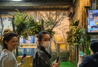 秦海璐春晚后与家人出游，王新军搂着儿子好亲近，10岁儿子高又壮