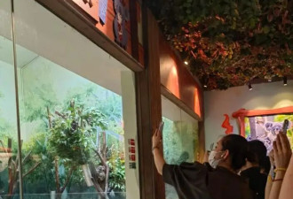 秦海璐春晚后与家人出游，王新军搂着儿子好亲近，10岁儿子高又壮