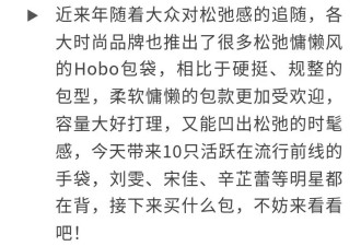 刘雯、宋佳、辛芷蕾都在背！2026年该买哪只包？
