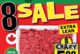 本周特价: 18颗鸡蛋$4.88 草莓$1.99 日本甜薯$1 多款牛肉$6.99