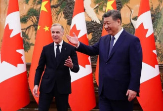 传Michael Ma将出任驻华大使，任命若成真，提前大选倒数