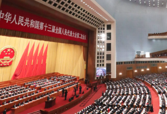 两会临近 人大代表惶恐成“待宰肥猪”？
